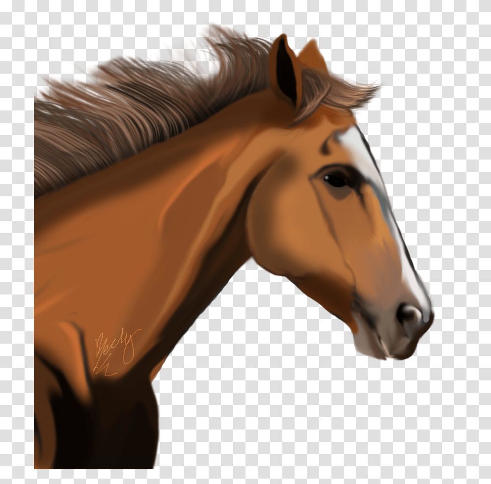 Horse, Animals, Mammal, Colt Horse, Stallion Transparent Png