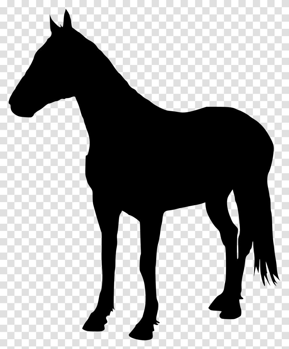 Horse Background Image Arts, Silhouette, Mammal, Animal, Colt Horse Transparent Png