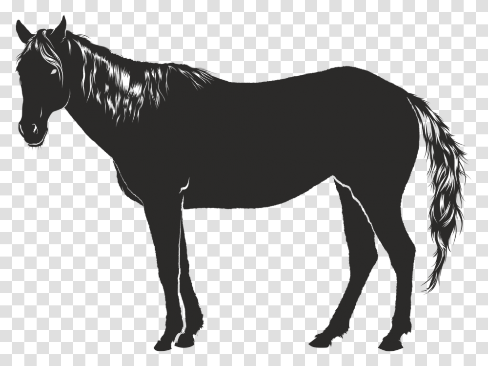 Horse Black Animal Silhouette Shadow Cavalo Sombra, Mammal, Reptile, Foal, Dinosaur Transparent Png