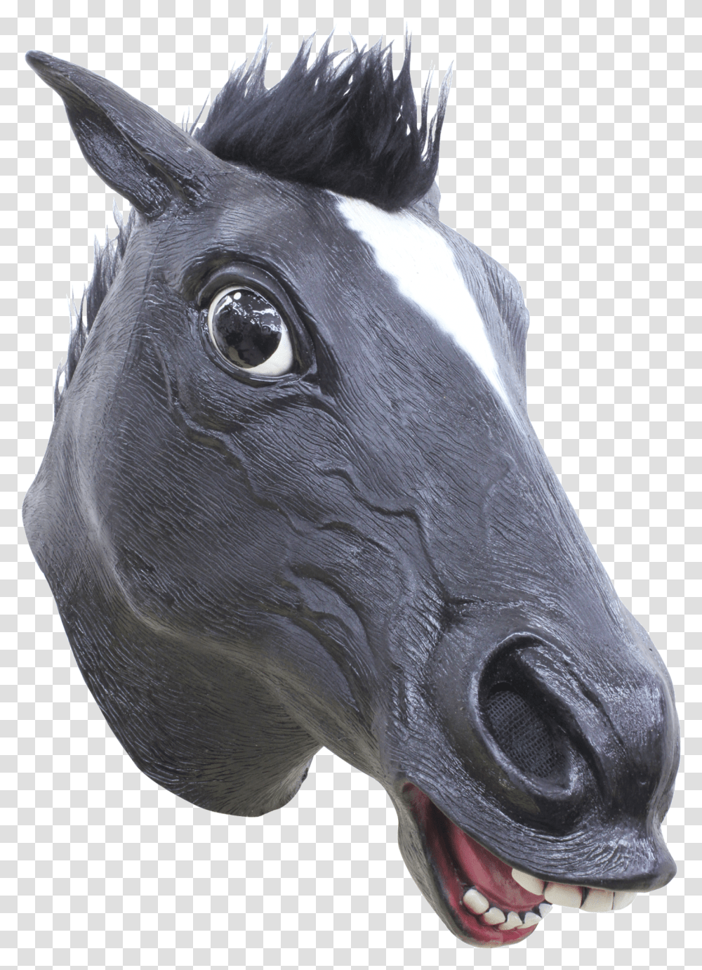 Horse Black MaskClass Caballo Negro, Mammal, Animal, Snout Transparent Png