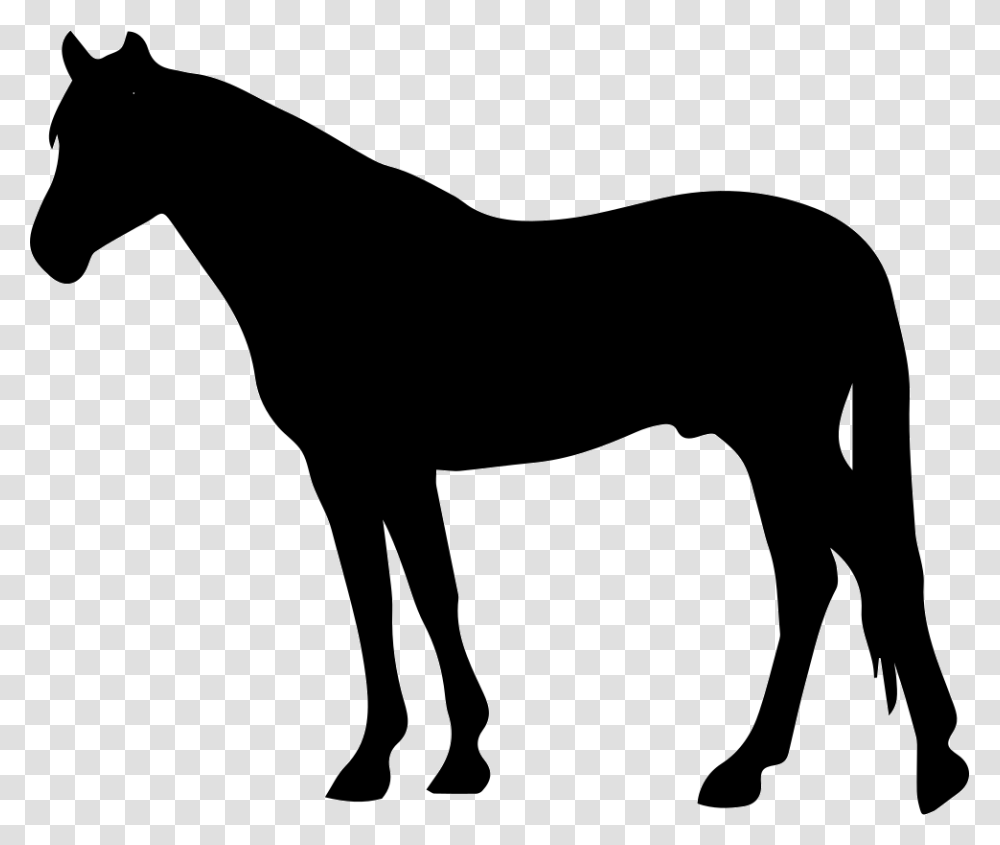 Horse Black Silhouette Facing To Left Icon Free Download, Mammal, Animal, Foal, Colt Horse Transparent Png