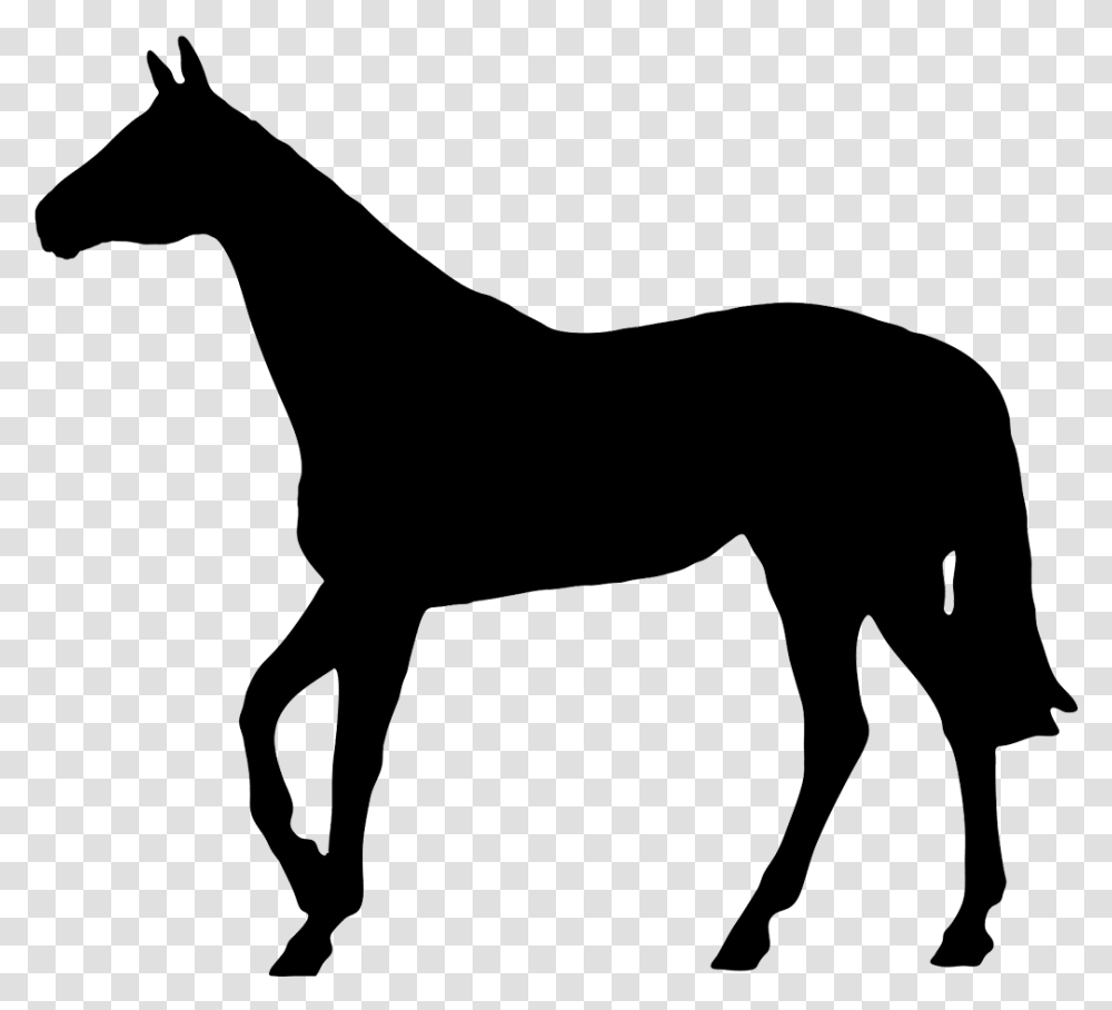 Horse Black Silhouette Horse Silhouette No Background, Mammal, Animal, Bow, Colt Horse Transparent Png