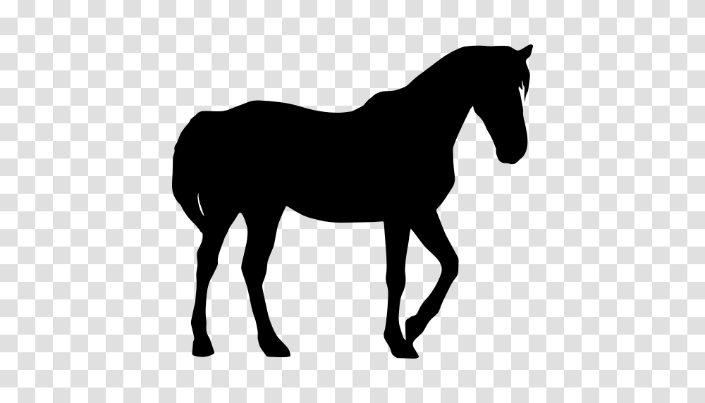 Horse Black Silhouette Icon, Gray, World Of Warcraft Transparent Png