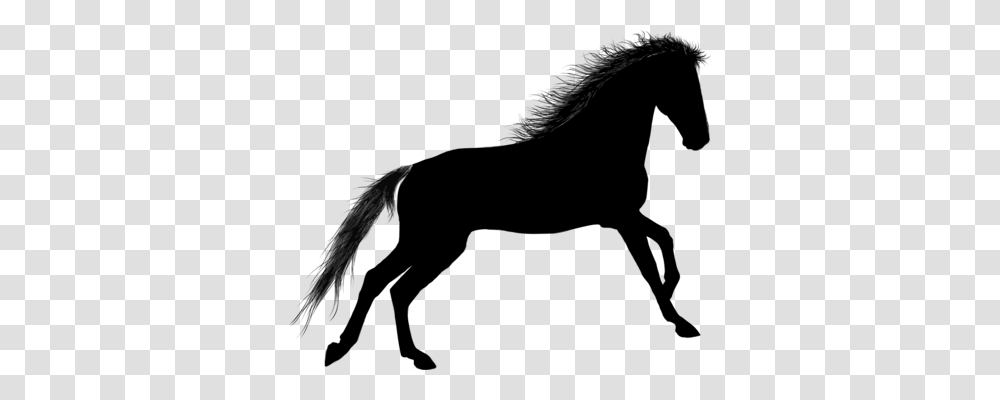 Horse Bucking Bronco Computer Icons Equestrian, Gray, World Of Warcraft Transparent Png