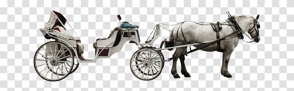Horse Cart Koets, Mammal, Animal, Carriage, Vehicle Transparent Png