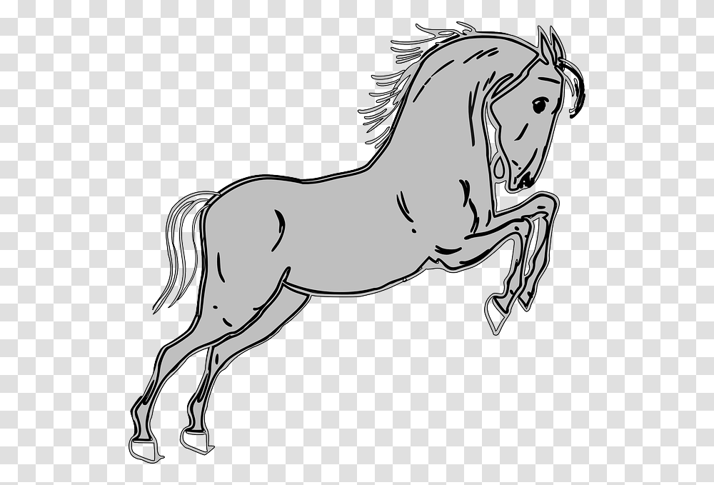 Horse Clip Art, Animal, Mammal, Drawing, Foal Transparent Png