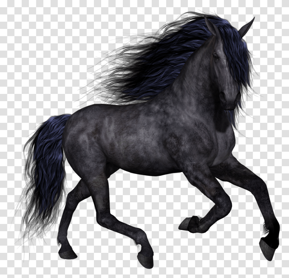 Horse Clip Art Black Horse, Mammal, Animal, Andalusian Horse, Stallion Transparent Png