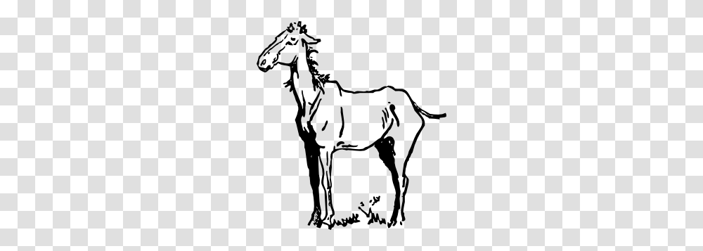 Horse Clip Art, Bow, Colt Horse, Mammal, Animal Transparent Png