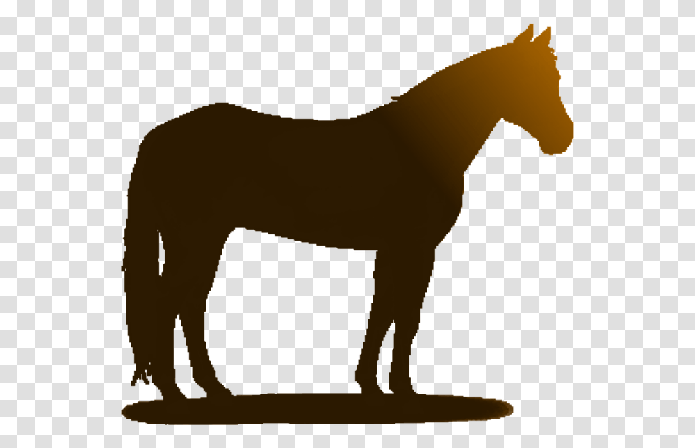 Horse Clip Art Clip Art, Mammal, Animal, Foal, Silhouette Transparent Png