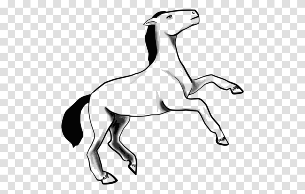 Horse Clip Art, Colt Horse, Mammal, Animal, Foal Transparent Png