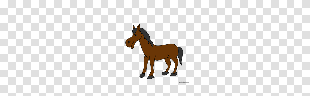 Horse Clip Art Free Clip Art For Teachers Classroom Lessons, Mammal, Animal, Foal, Colt Horse Transparent Png