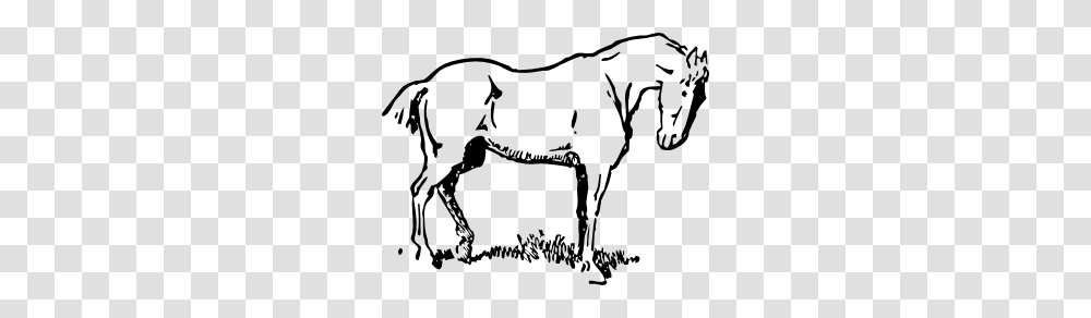 Horse Clip Art, Label, Bow, Mammal Transparent Png