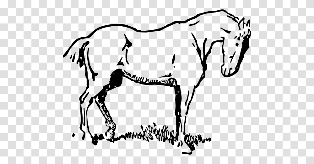 Horse Clip Art, Mammal, Animal, Bow, Stencil Transparent Png