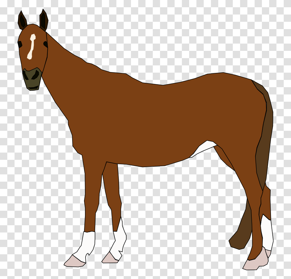 Horse Clip Arts Download, Mammal, Animal, Colt Horse, Person Transparent Png