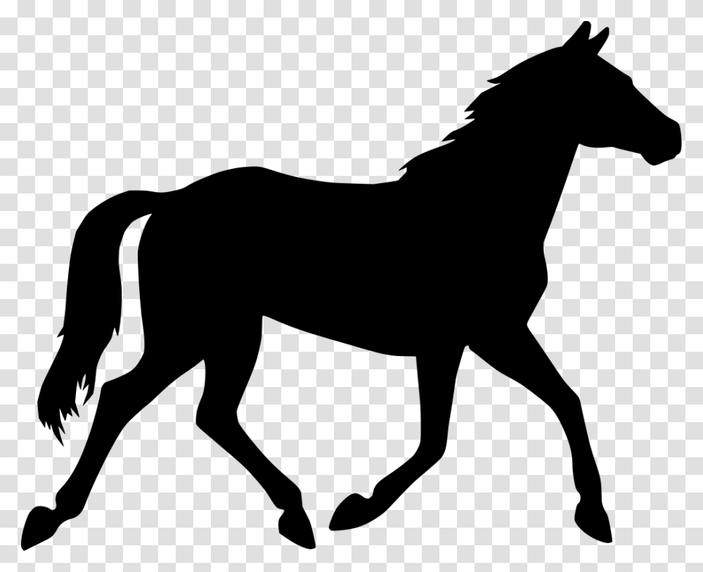 Horse Clipart Background, Gray, World Of Warcraft Transparent Png