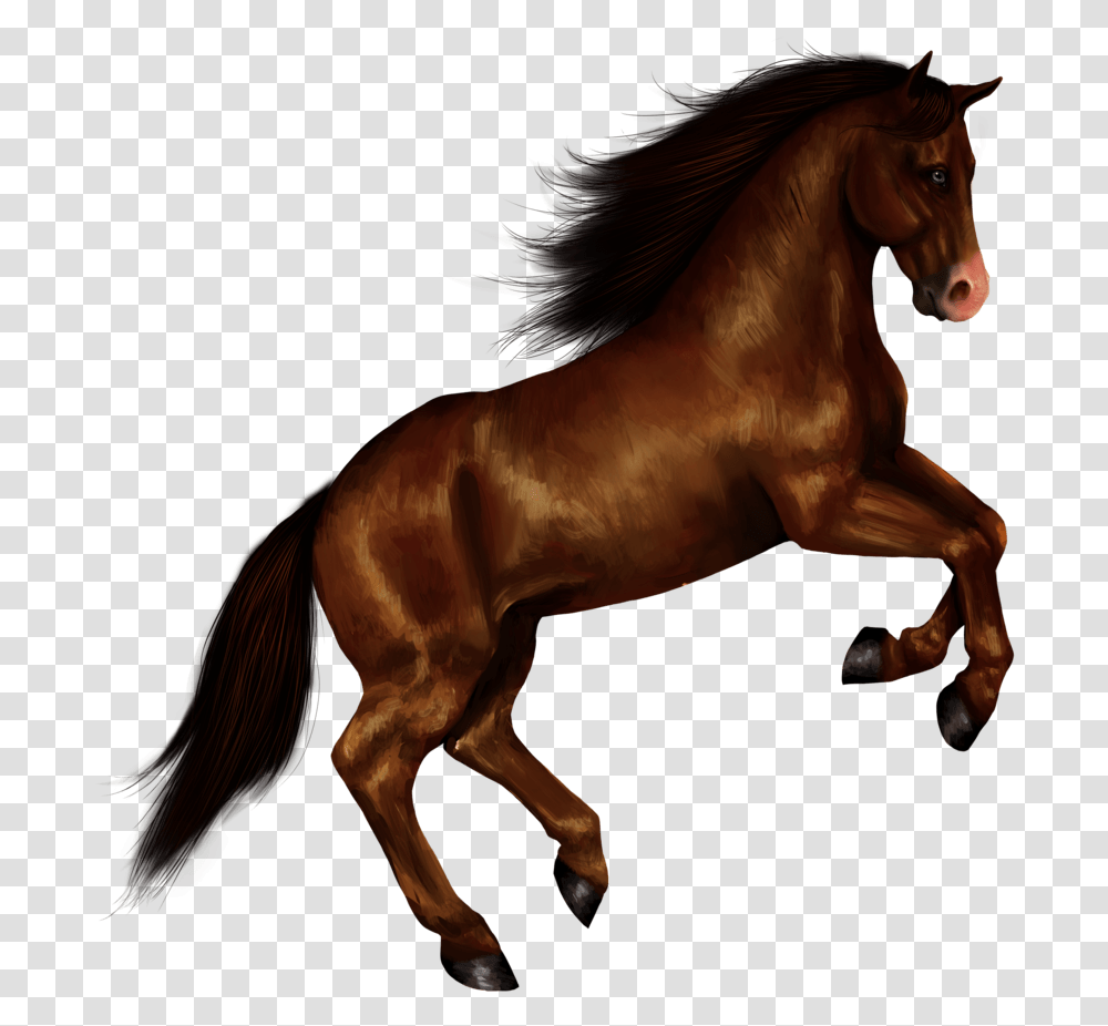 Horse Clipart Background Horse, Mammal, Animal, Andalusian Horse, Stallion Transparent Png