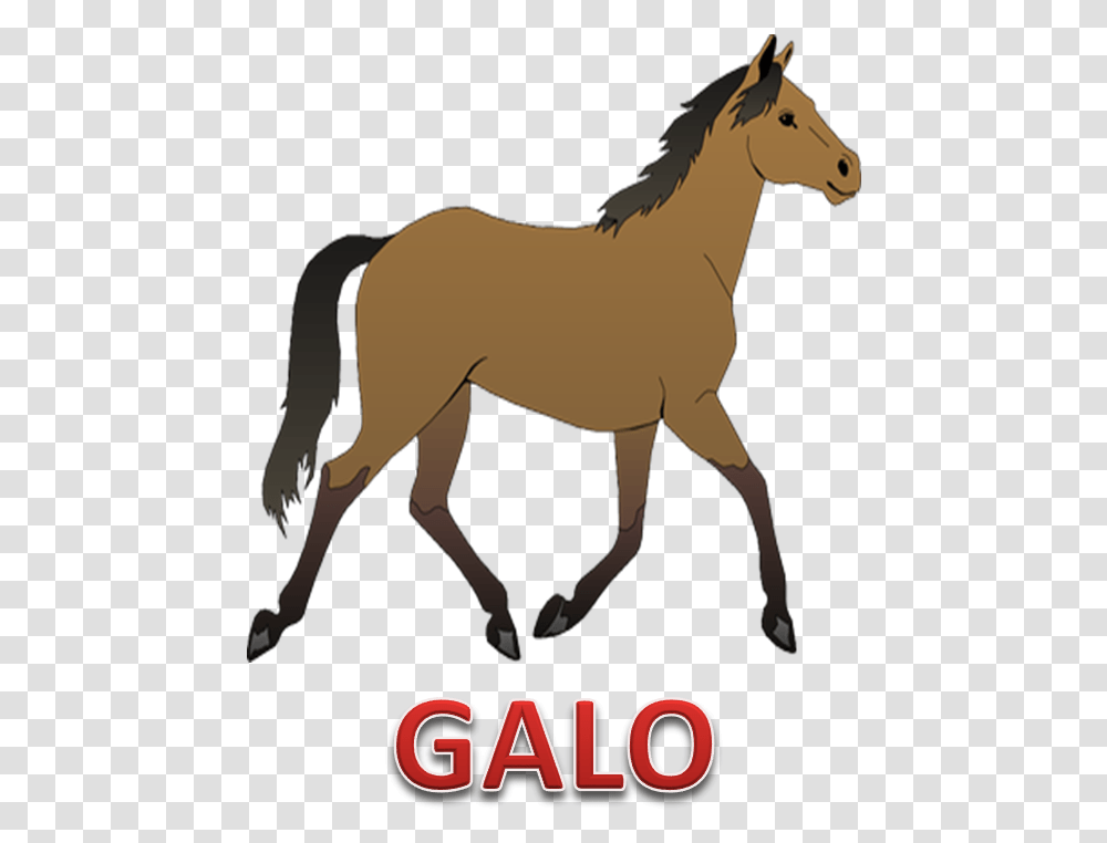 Horse Clipart Background, Mammal, Animal, Colt Horse, Foal Transparent Png