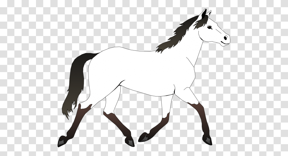Horse Clipart Black And White Nice Clip Art, Colt Horse, Mammal, Animal, Foal Transparent Png