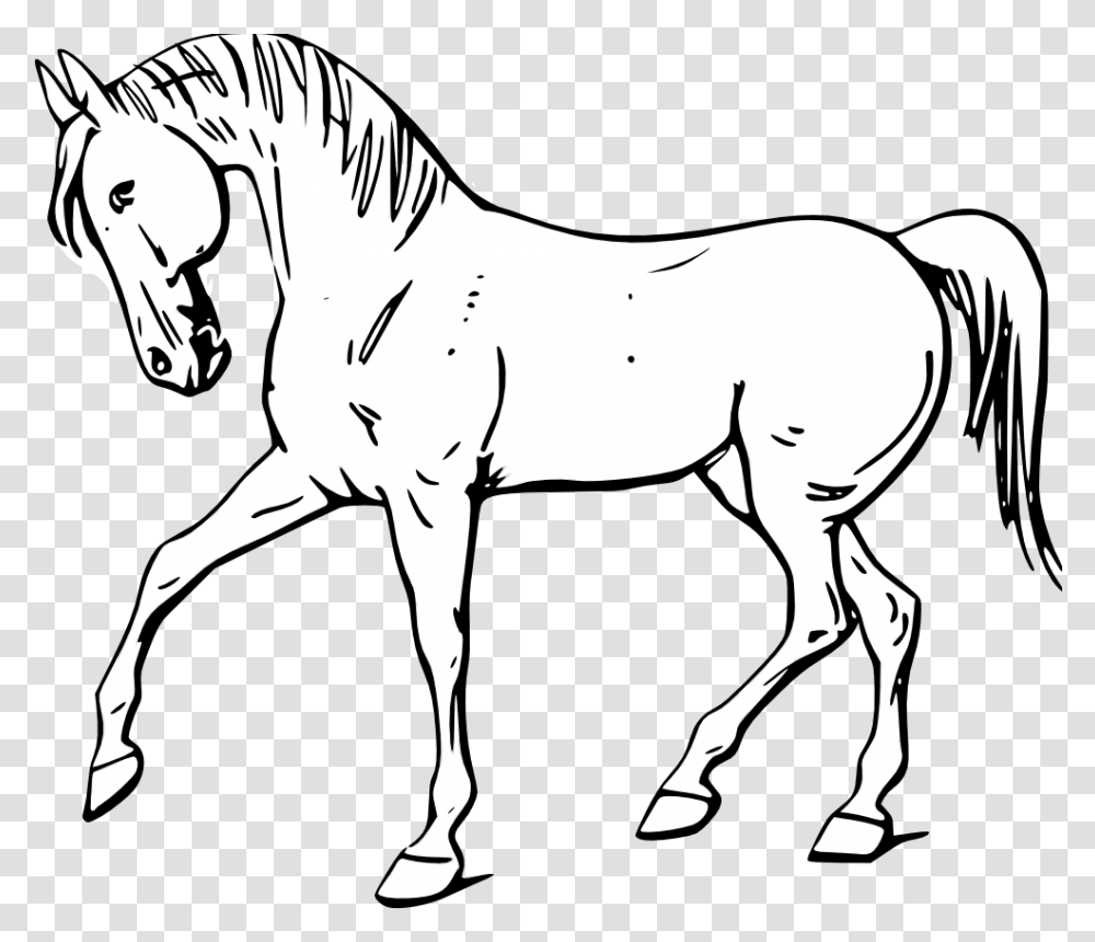 Horse Clipart Black And White Outline, Colt Horse, Mammal, Animal, Foal Transparent Png