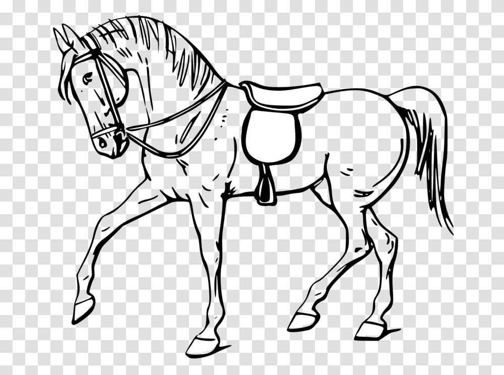 Horse Clipart Black And White Outline Pictures Of Horse, Lamp Transparent Png
