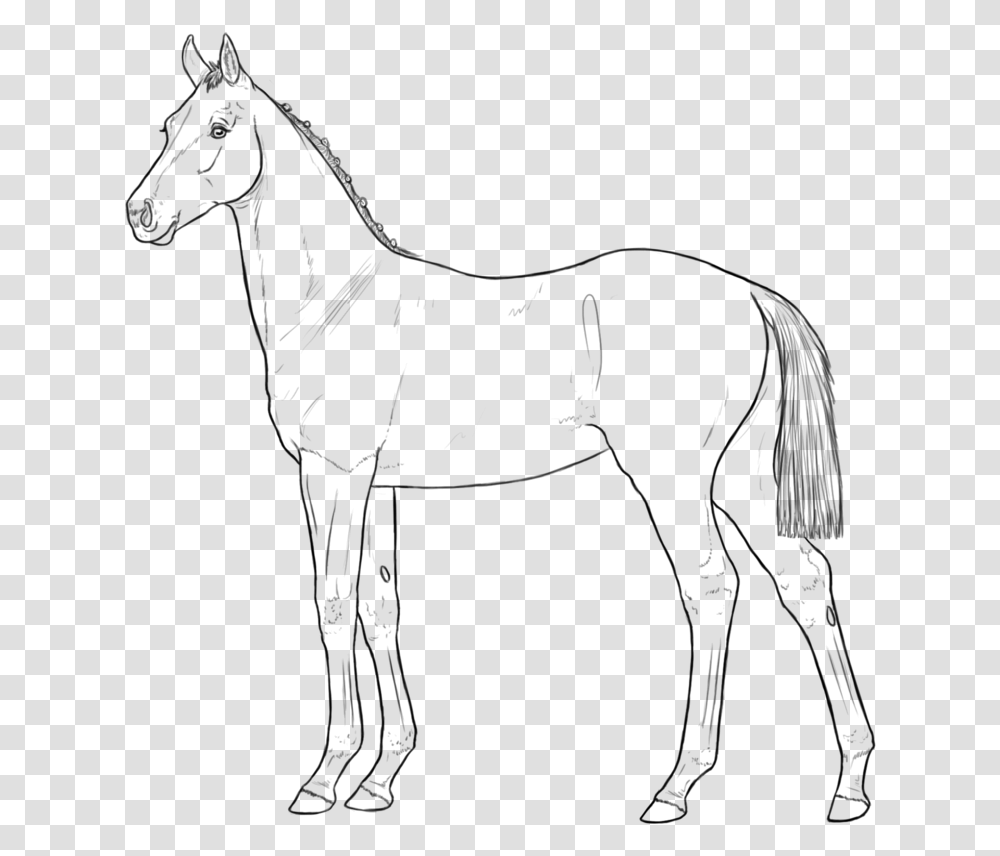 Horse Clipart Foal Lineart, Outdoors, Nature, Astronomy, Outer Space Transparent Png