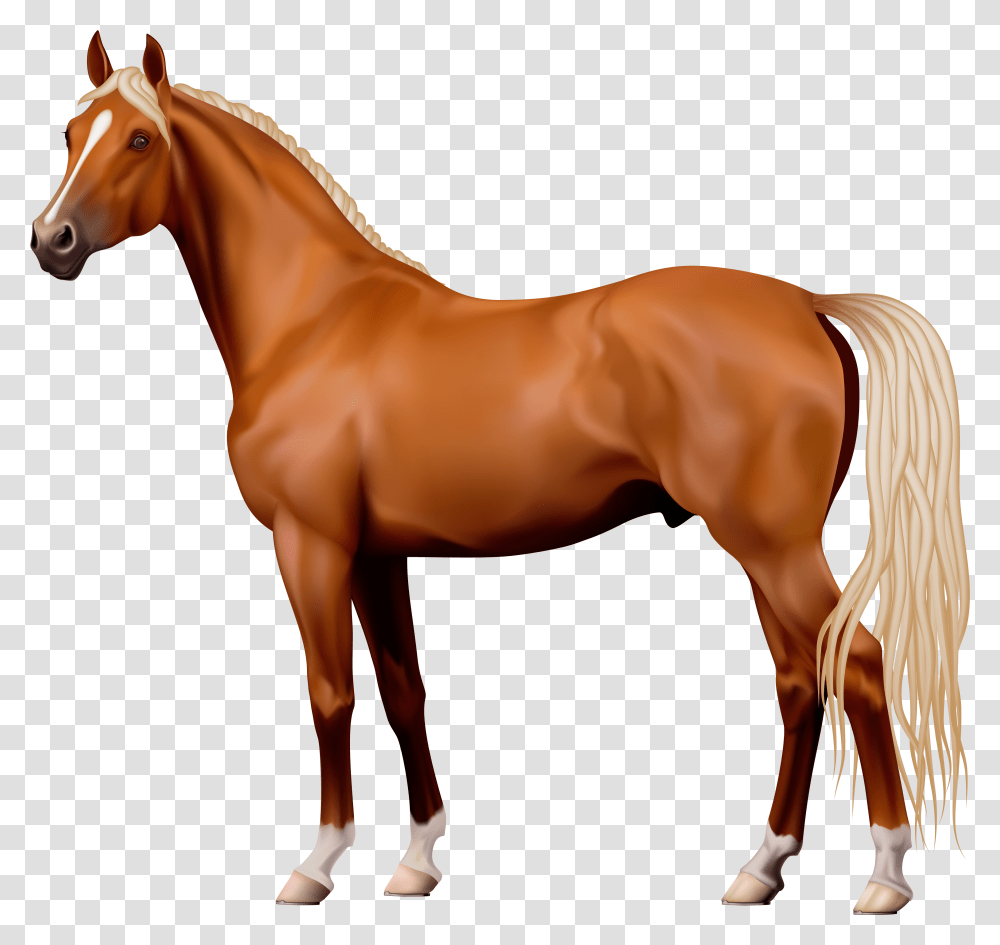 Horse Clipart Horse Background, Mammal, Animal, Colt Horse, Person Transparent Png