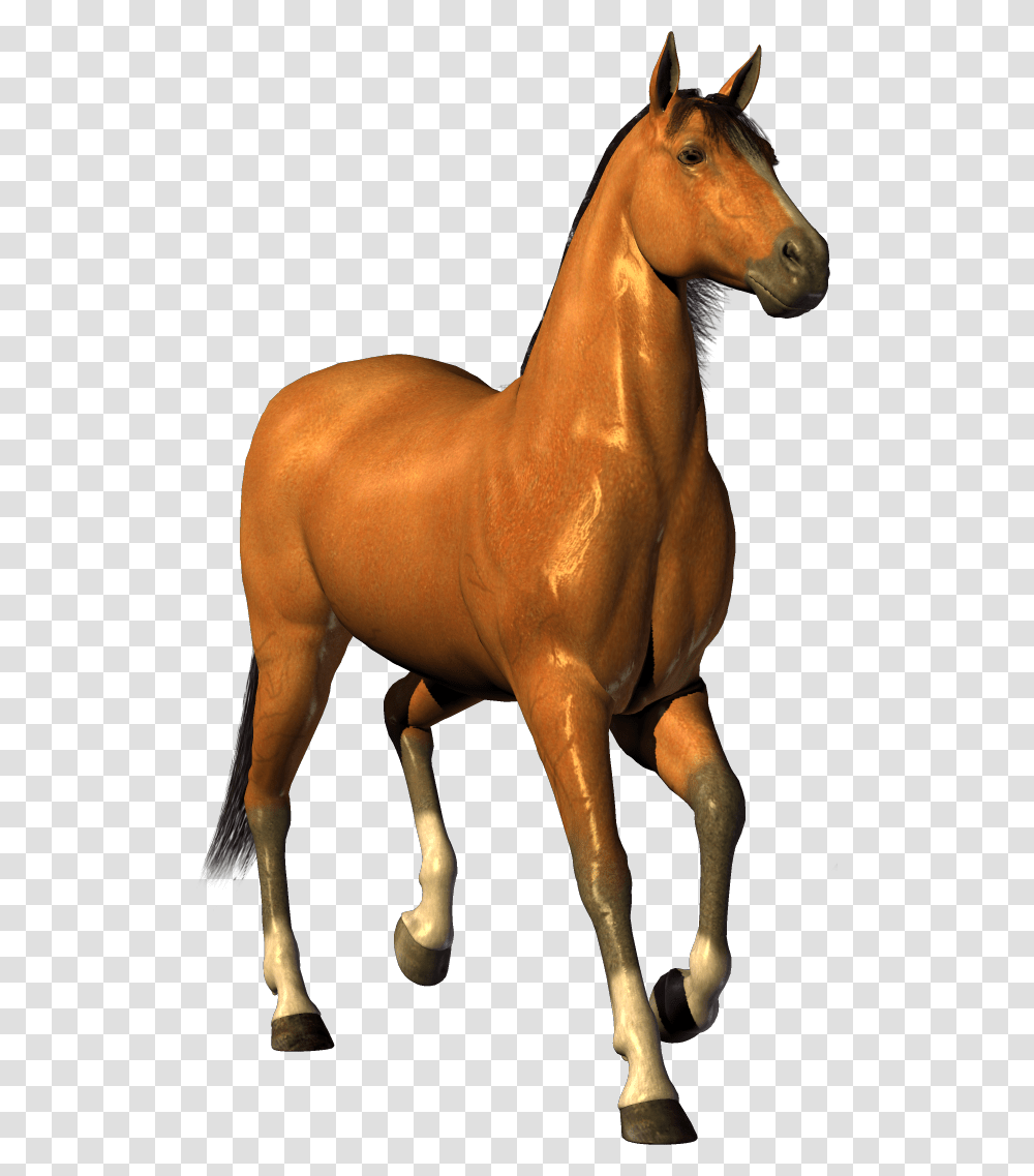 Horse Clipart Horse, Mammal, Animal, Colt Horse, Figurine Transparent Png