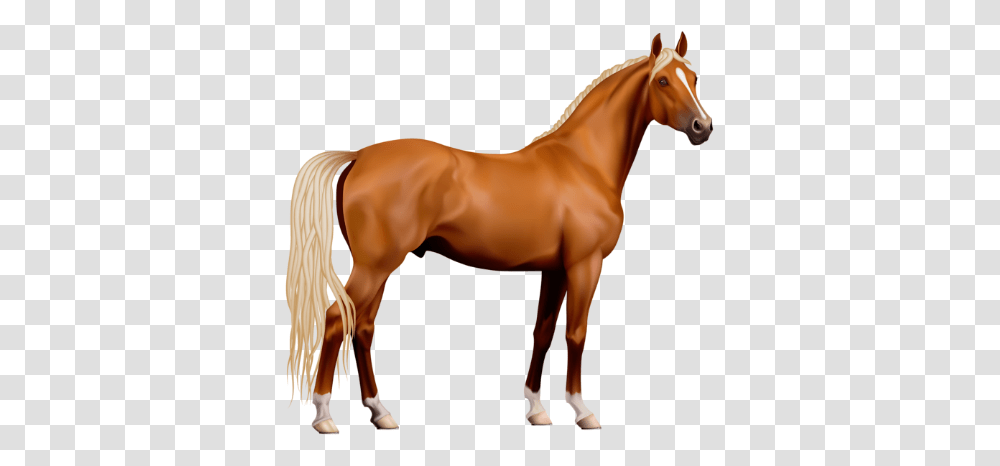 Horse Clipart, Mammal, Animal, Colt Horse, Person Transparent Png