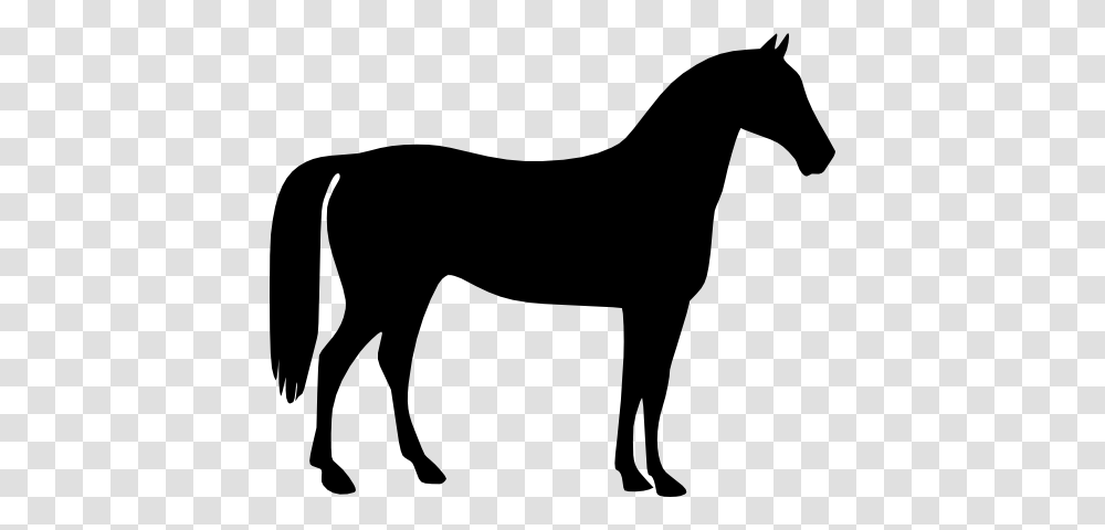 Horse Clipart, Silhouette, Mammal, Animal, Stencil Transparent Png
