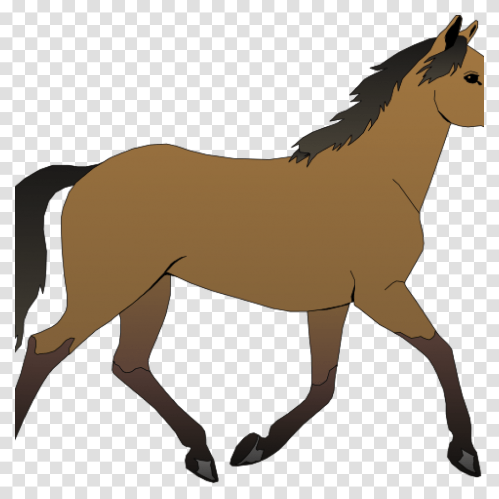 Horse Cliparts Free Clipart Download, Colt Horse, Mammal, Animal, Foal Transparent Png