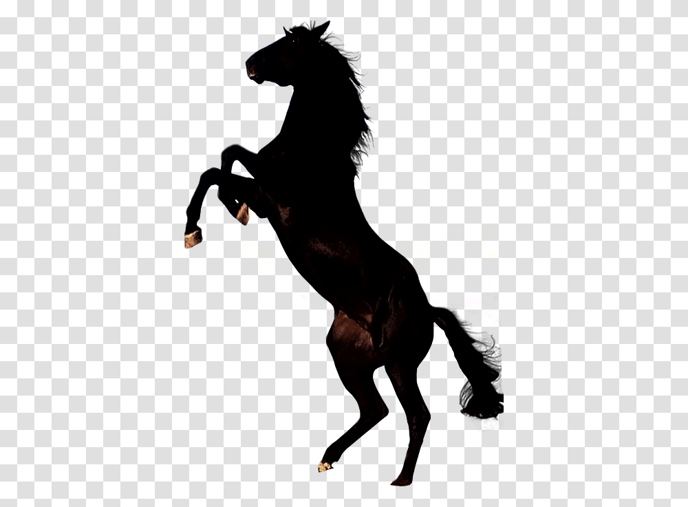 Horse Cliparts, Lighting, Person, Flare, Hand Transparent Png