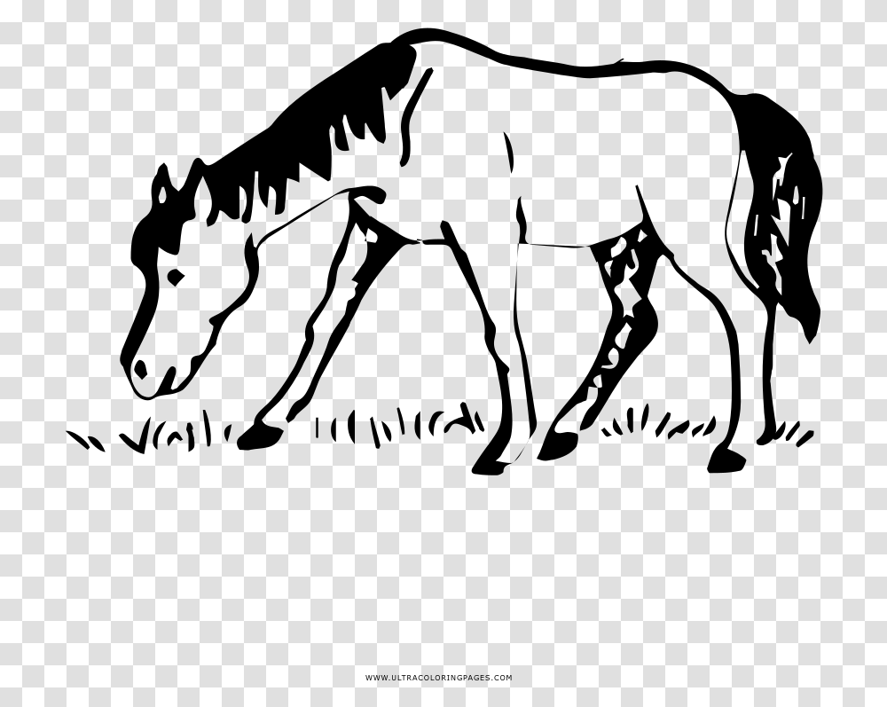 Horse Coloring, Gray, World Of Warcraft Transparent Png