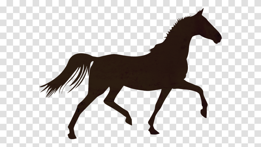 Horse Colt Foal Stallion Mare Horse Trotting Silhouette, Mammal, Animal, Colt Horse Transparent Png