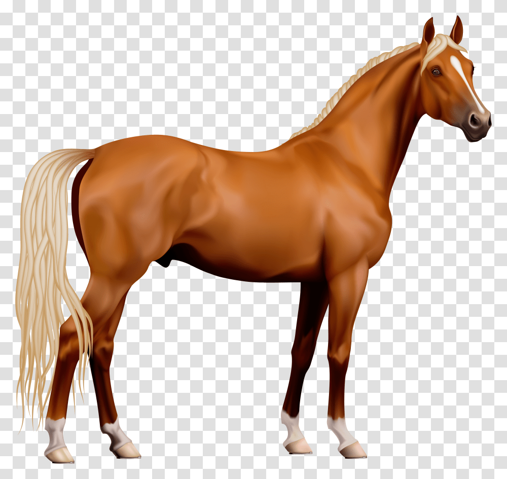 Horse Computer File, Colt Horse, Mammal, Animal, Person Transparent Png