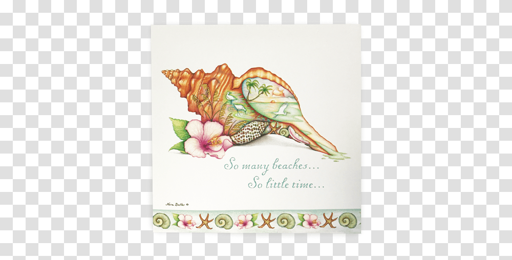 Horse Conch Graphics, Animal, Sea Life, Clam, Seashell Transparent Png