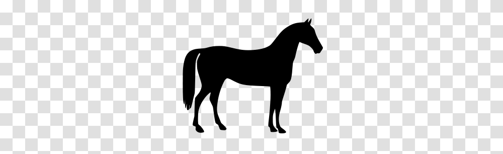 Horse Design Clipart Clip Arts For Web, Gray, World Of Warcraft Transparent Png