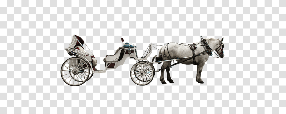 Horse Drawn Carriage Transport, Mammal, Animal, Vehicle Transparent Png