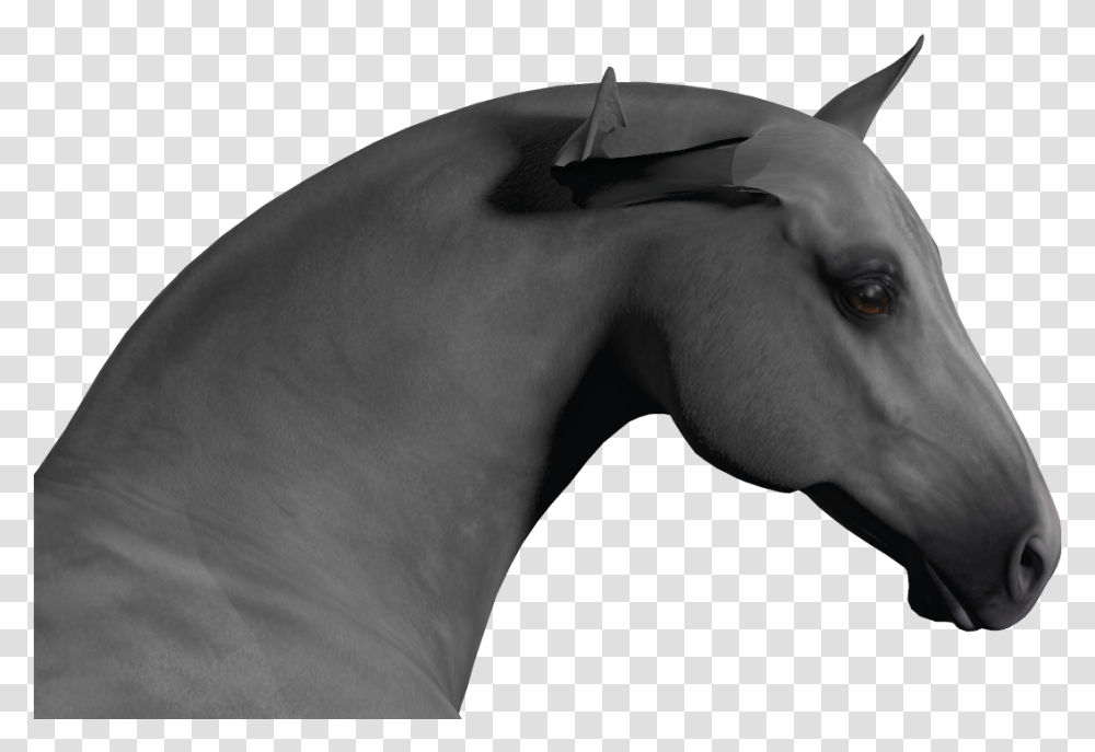 Horse Ears Stallion, Mammal, Animal, Back, Torso Transparent Png