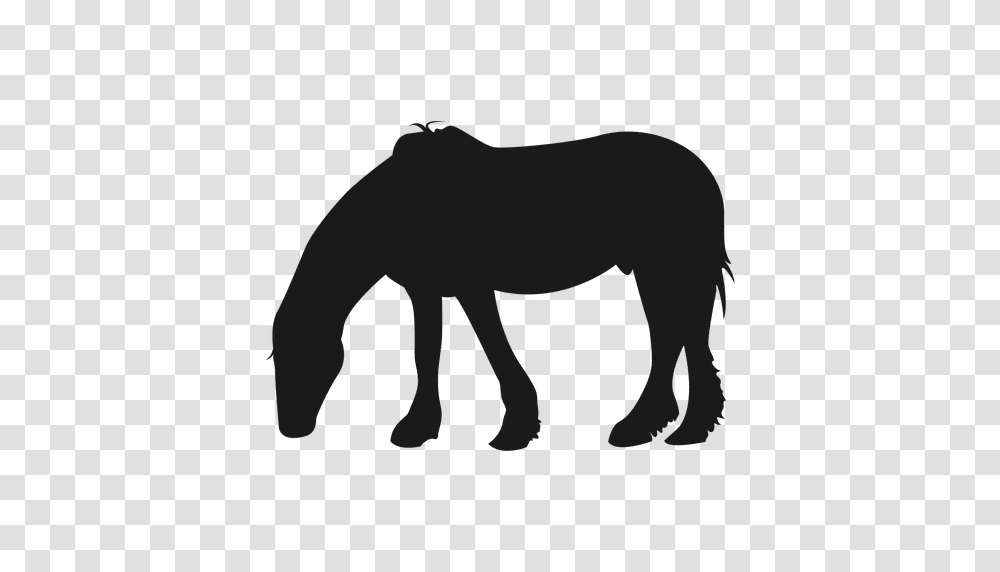 Horse Eating Grass, Mammal, Animal, Foal, Colt Horse Transparent Png