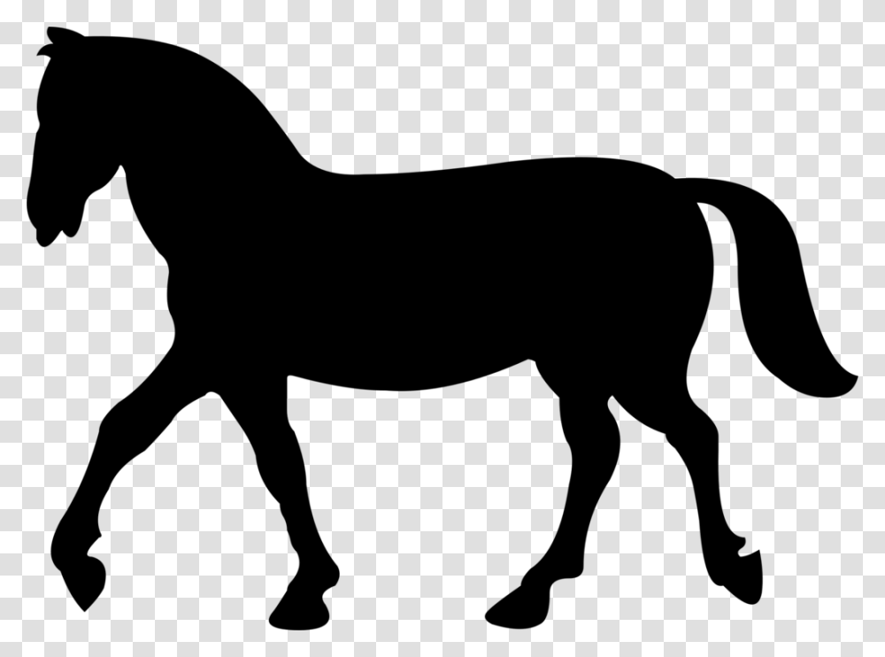 Horse Equestrian Silhouette Dressage Collection, Gray, World Of Warcraft Transparent Png