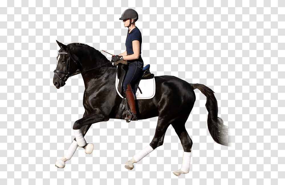 Horse Equestrian Stallion Dressage Western Riding Horse Riding Logo, Mammal, Animal, Apparel Transparent Png