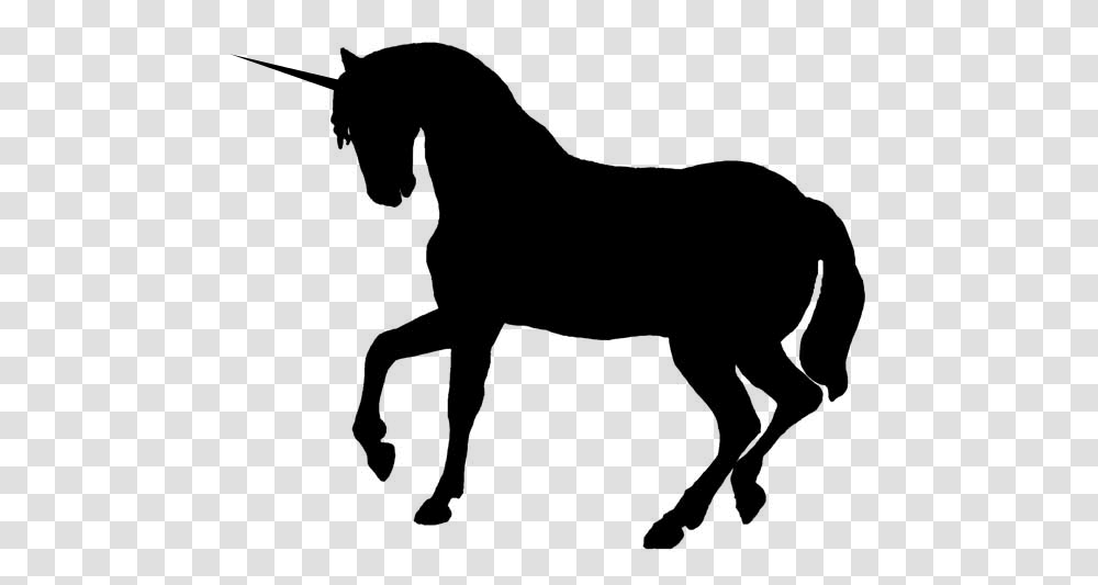 Horse Foal Stallion Silhouette Clip Art Horse Silhouette, Gray, World Of Warcraft Transparent Png