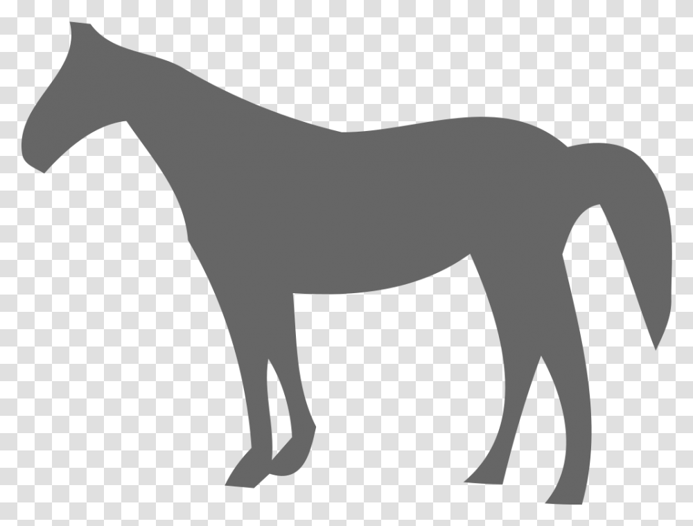 Horse Free Icon Download Logo Animal Figure, Mammal, Foal, Label, Text Transparent Png