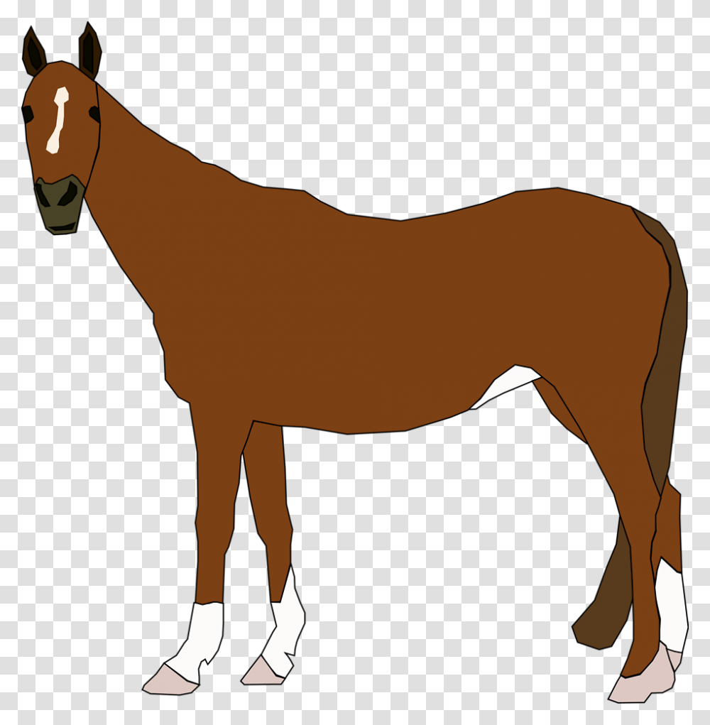 Horse Free Stock Photo Illustration Of A Horse, Mammal, Animal, Colt Horse, Person Transparent Png