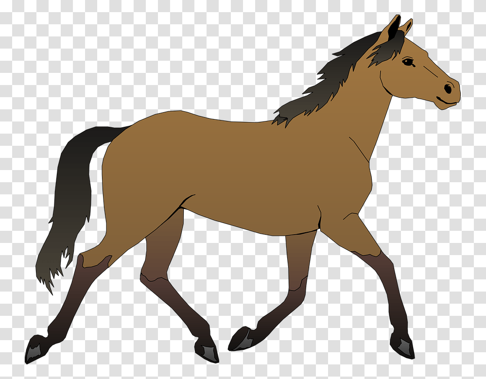 Horse Free Vector 4vector Horse Clipart, Colt Horse, Mammal, Animal, Foal Transparent Png