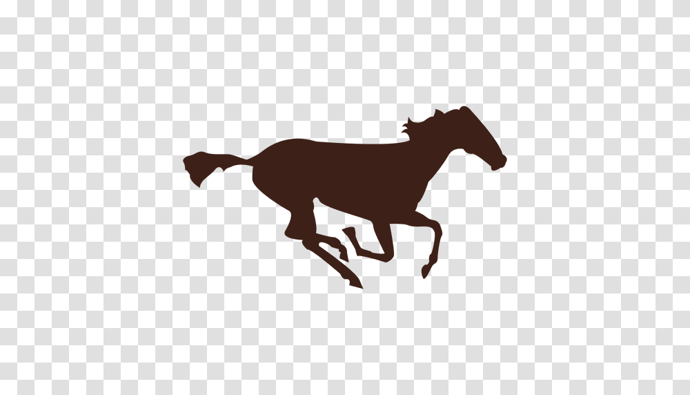 Horse Galloping Motion Sequence, Mammal, Animal, Colt Horse Transparent Png