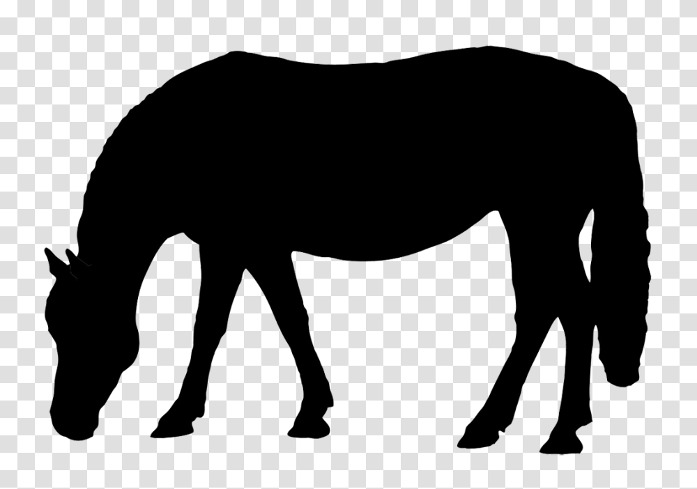 Horse Grazing Clip Art Cakes, Silhouette, Mammal, Animal, Foal Transparent Png
