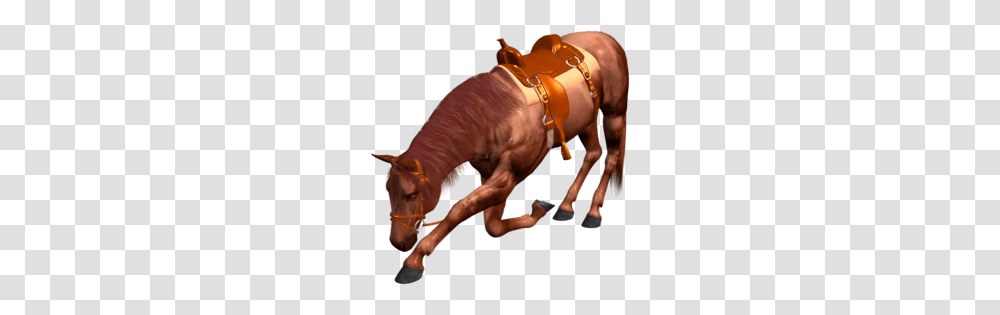 Horse Harness Clipart, Mammal, Animal, Person, Human Transparent Png