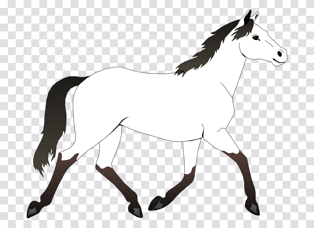 Horse Head Clip Art Design, Mammal, Animal, Colt Horse, Foal Transparent Png