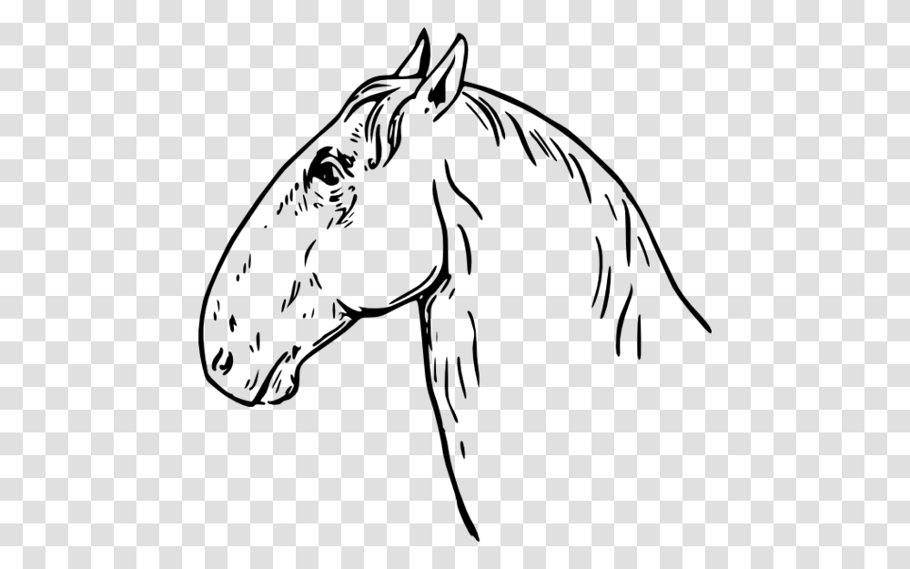 Horse Head Clip Art, Gray, World Of Warcraft Transparent Png